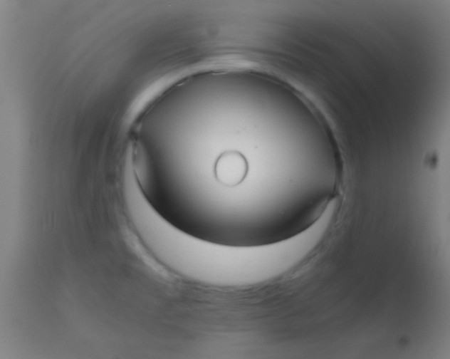 X0000110711477200907022010