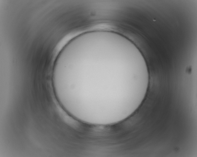 X0000110711478200907022010