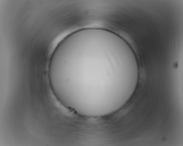X0000110711480200907022010