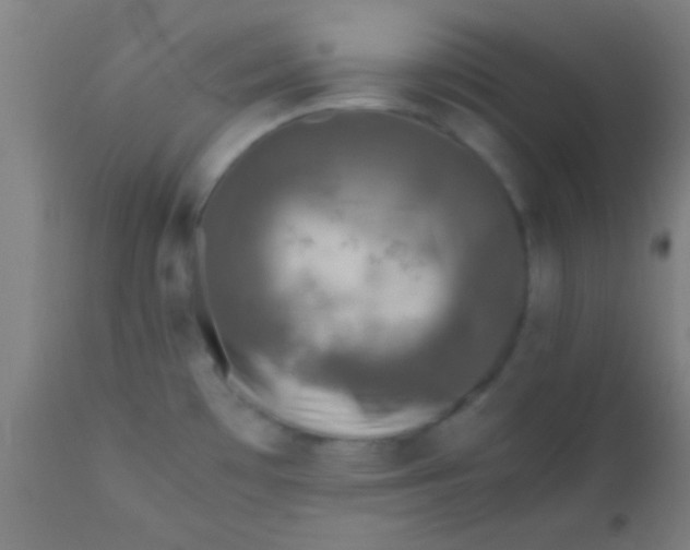 X0000110711481200907022010