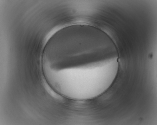X0000110711482200907022010