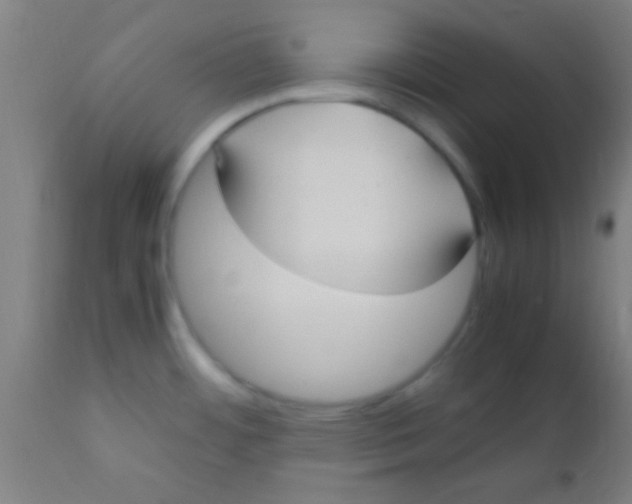 X0000110711484200907022010