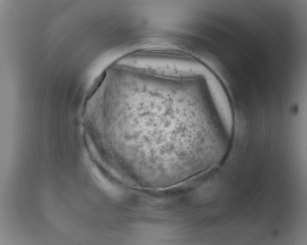 X0000110711485200907022010