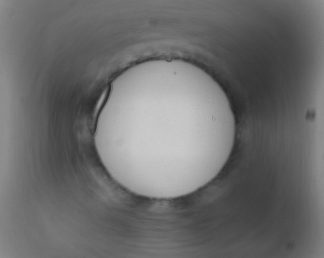X0000110711490200907022009