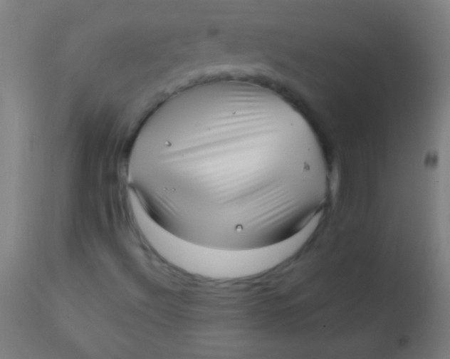 X0000110711492200907022009