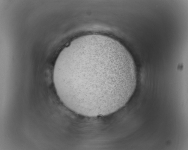 X0000110711493200907022009