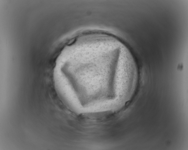 X0000110711494200907022009