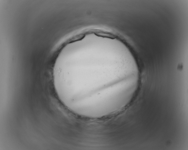 X0000110711496200907022009