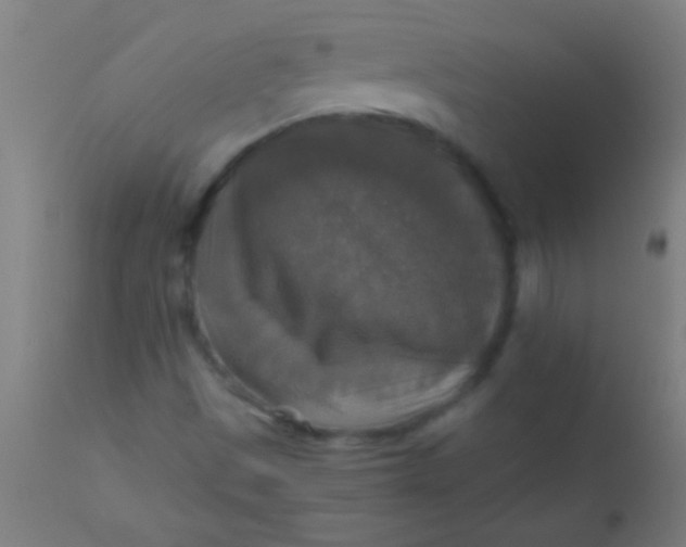 X0000110711497200907022010