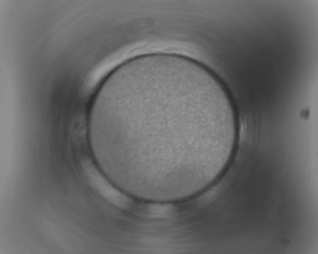 X0000110711498200907022010