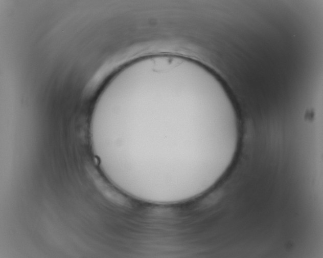 X0000110711499200907022010