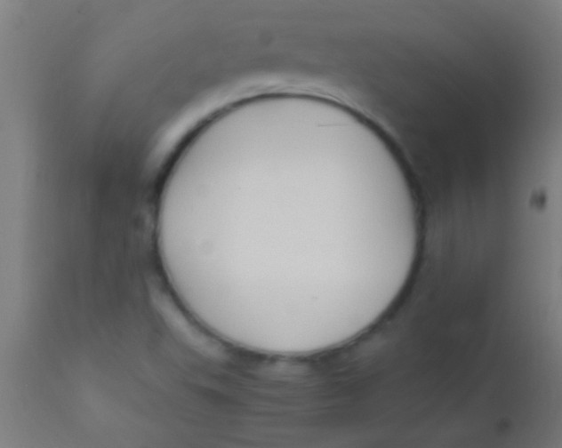 X0000110711503200907022010
