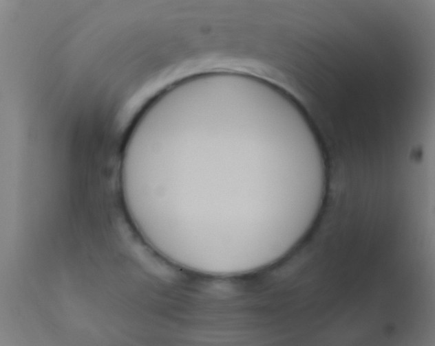 X0000110711507200907022010