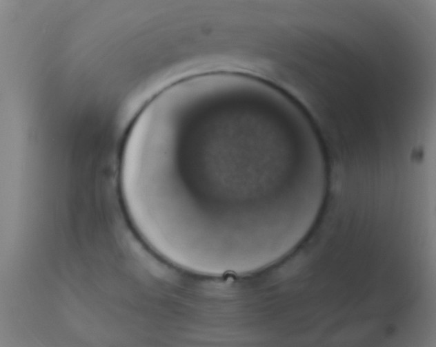 X0000110711508200907022010