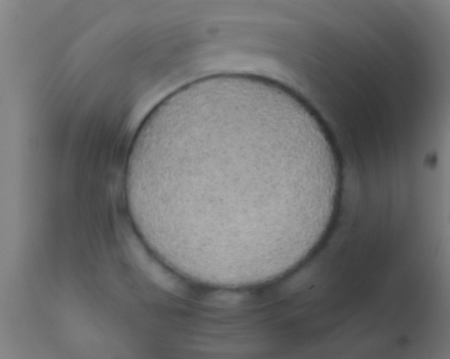 X0000110711513200907022010