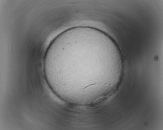 X0000110711517200907022010