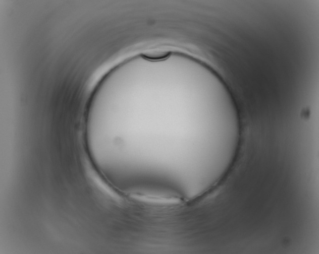 X0000110711518200907022010