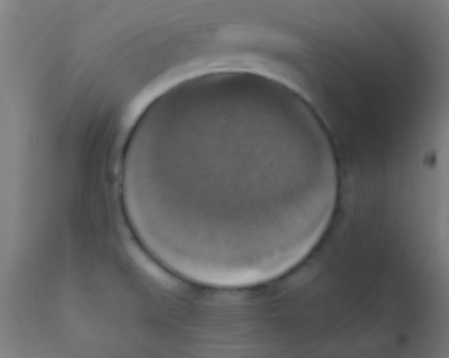 X0000110711519200907022010