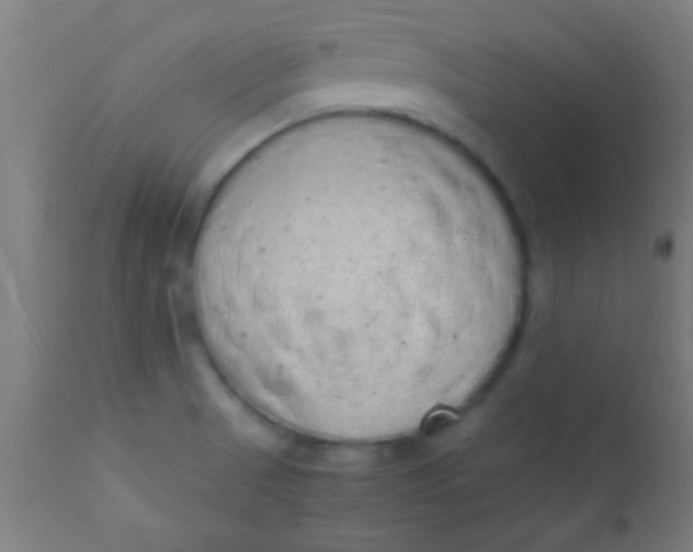 X0000110711521200907022010