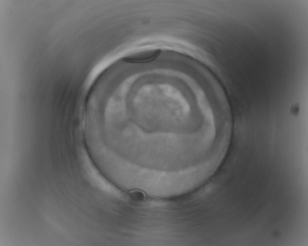 X0000110711522200907022010