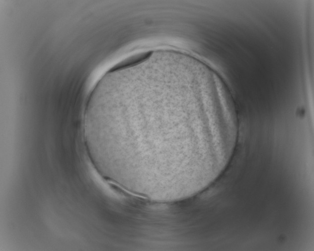 X0000110711524200907022010