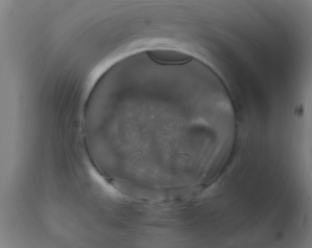 X0000110711527200907022010