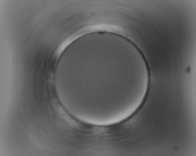 X0000110711529200907022010