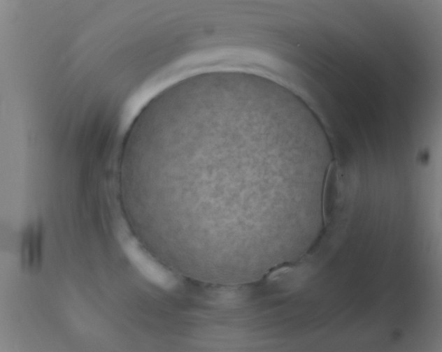 X0000110711530200907022010