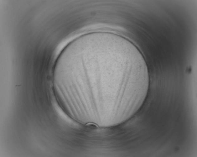 X0000110711531200907022010