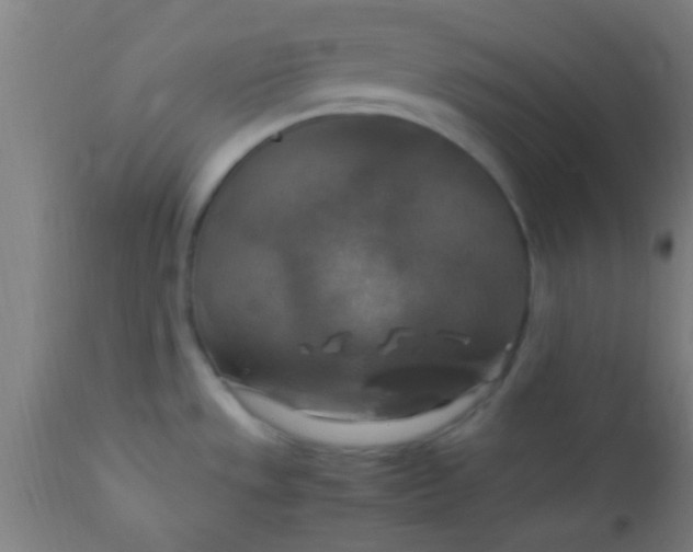X0000110711533200907022010