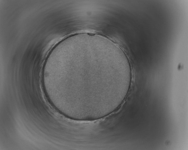 X0000110710001200907101255