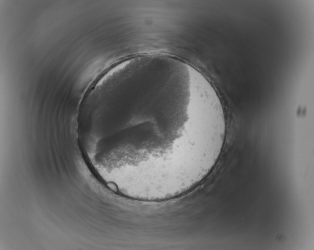 X0000110710002200907101255