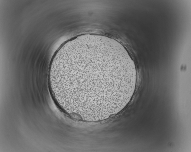 X0000110710003200907101255