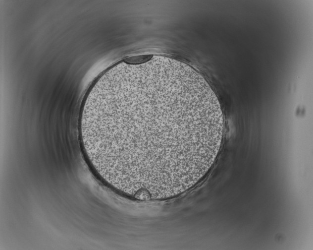 X0000110710004200907101255