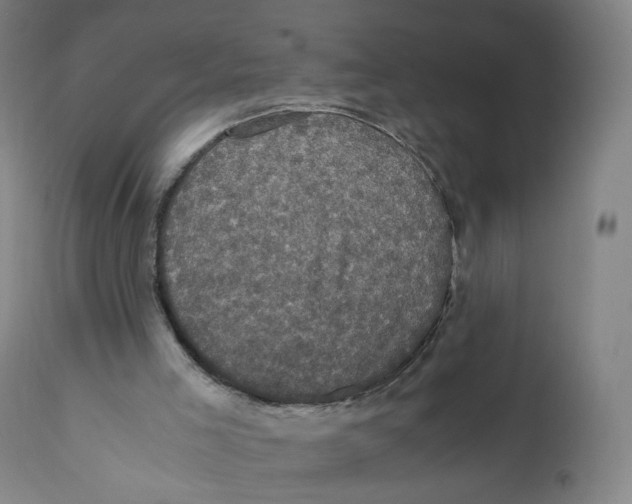 X0000110710005200907101255