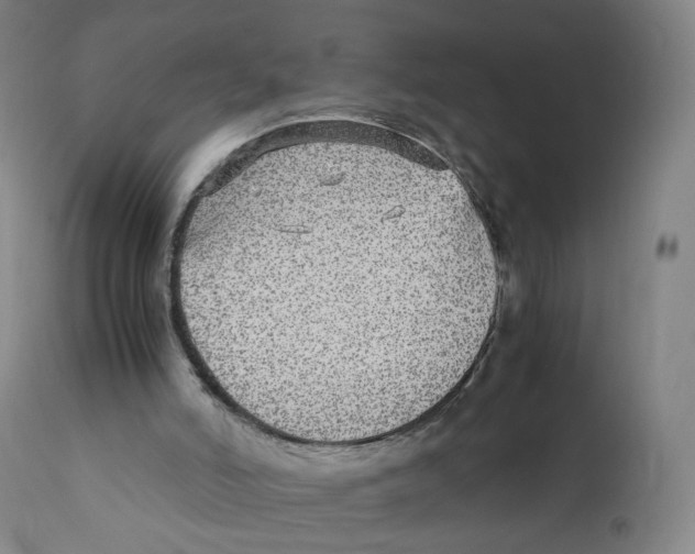 X0000110710006200907101255