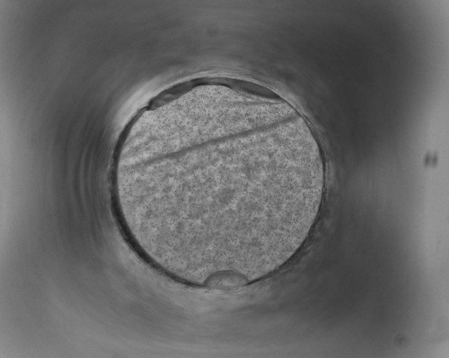 X0000110710007200907101255