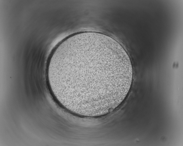 X0000110710008200907101255