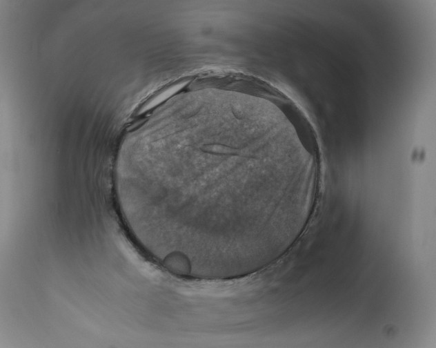X0000110710009200907101255