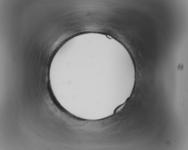 X0000110710011200907101255