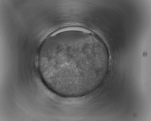 X0000110710013200907101255