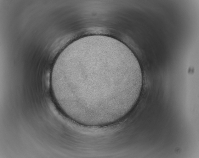 X0000110710014200907101255