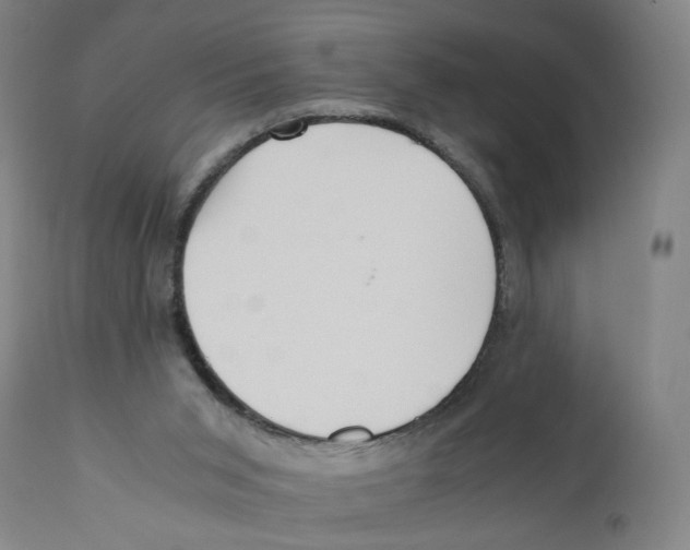 X0000110710015200907101255