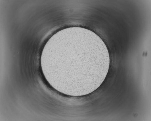 X0000110710016200907101255