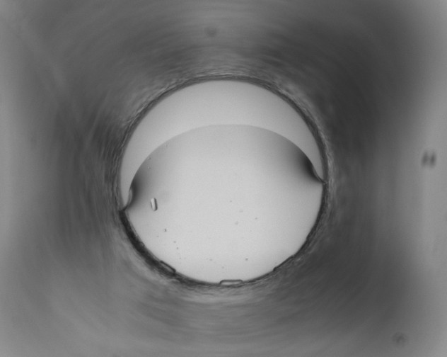 X0000110710017200907101255