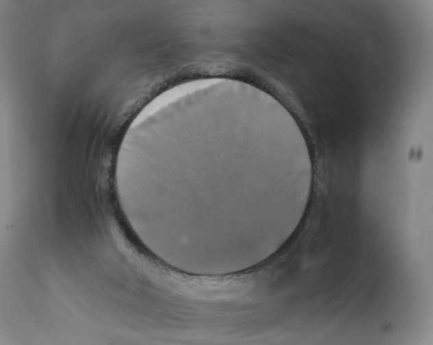 X0000110710018200907101255