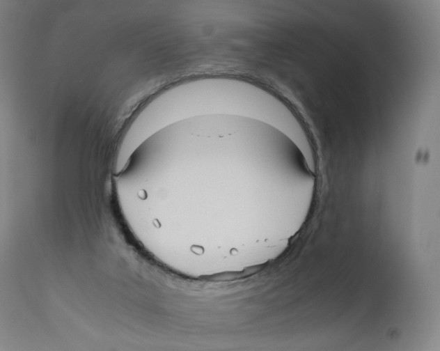 X0000110710019200907101255