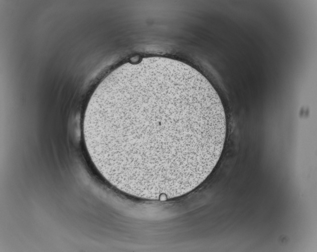 X0000110710020200907101255