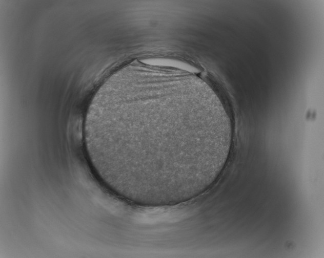 X0000110710021200907101255