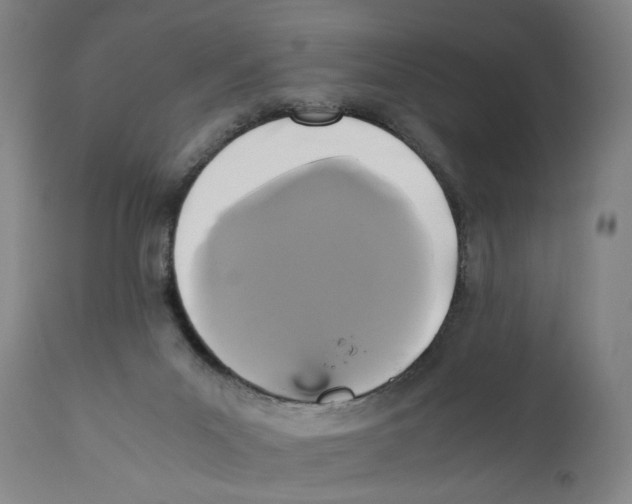 X0000110710023200907101255